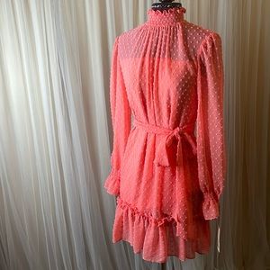 Alex Marie Soft Coral Dress Size 4P